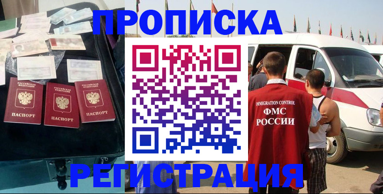 временная регистрация гарантия в Камчатской области